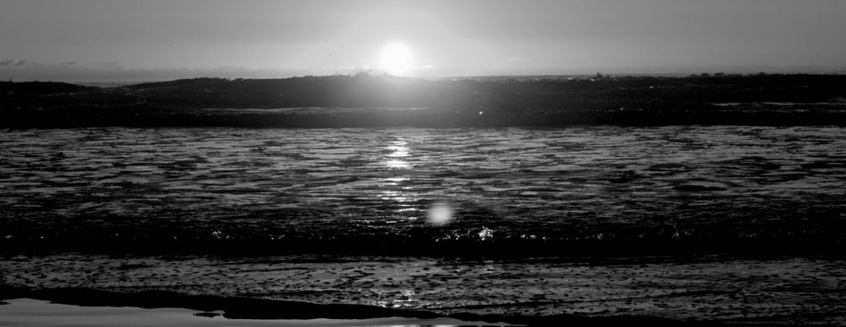 电话炸弹防护业务